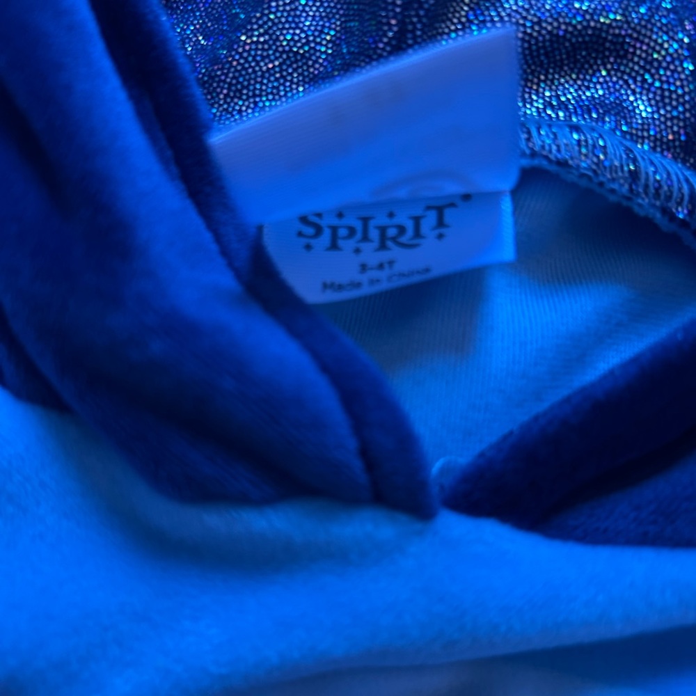 Spirit BLUEY Toddler Costume Size 3T-4T - Picture 8 of 9